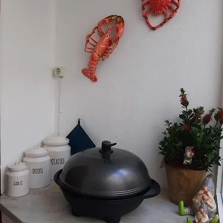 A Casa Elmar * Olho Marinho